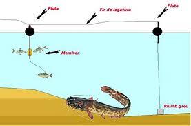 Interesante :) - imagems.jpeg